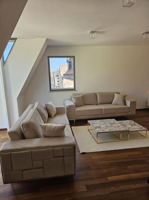 Luxury Penthouse In The Center Apartment Nürnberg
